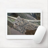 Snow Leopard Muismat (Met muis)