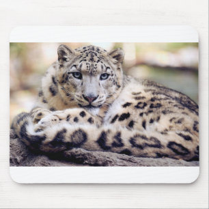 Snow Leopard Muismat