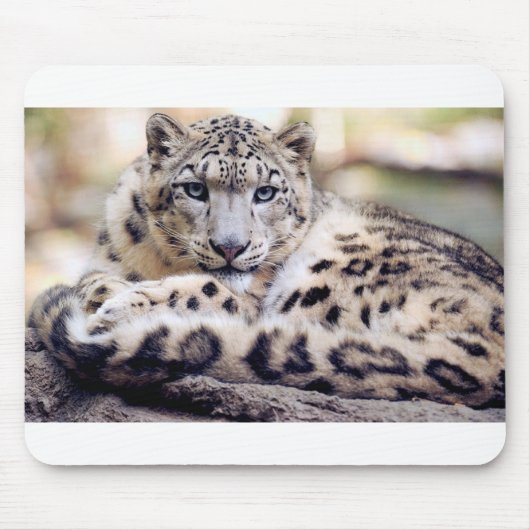 Snow Leopard Muismat (Voorkant)