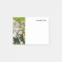 Snow Leopard Notes