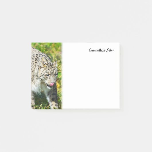 Snow Leopard Notes (Voorkant)