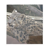Snow Leopard Notitieblok (Voorkant)