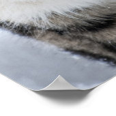 Snow Leopard on the Prowl Poster (Hoek)