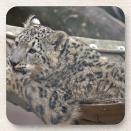 Snow Leopard Onderzetter