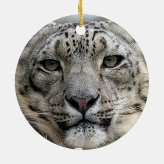 Snow Leopard Ornament (Achterkant)
