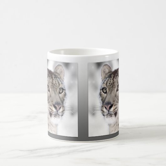 Snow Leopard Portrait Big Cat Mok (Center)