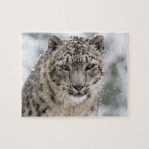 Snow Leopard Portrait in Snow 3 Legpuzzel