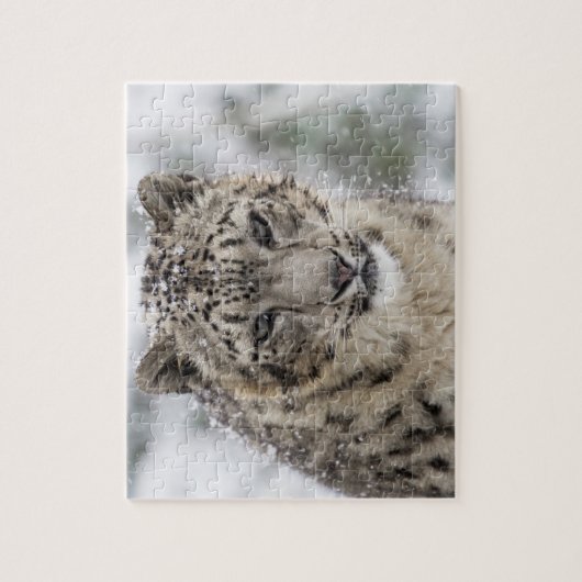 Snow Leopard Portrait in Snow 3 Legpuzzel (Verticaal)