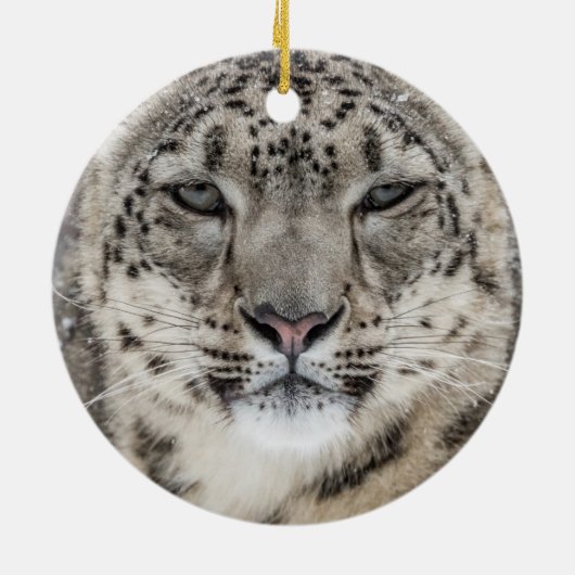 Snow Leopard Portrait Keramisch Ornament (Achterkant)