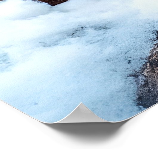 Snow Leopard Poster (Hoek)