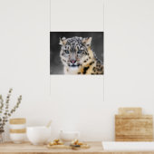 Snow Leopard Poster (Keuken)