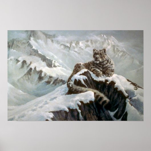 Snow Leopard Poster (Voorkant)