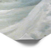 Snow Leopard Poster (Hoek)