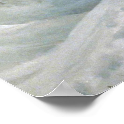 Snow Leopard Poster (Hoek)