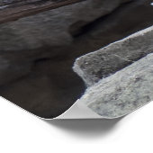 Snow Leopard Poster (Hoek)