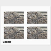 Snow Leopard Rechthoekige Sticker (Vel)