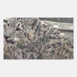 Snow Leopard Rechthoekige Sticker