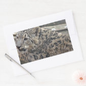 Snow Leopard Rechthoekige Sticker (Envelop)