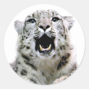 Snow Leopard Ronde Sticker