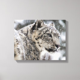 Snow Leopard Snow Portrait Canvas Afdruk