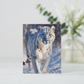 Snow Leopard Studie A - Oliën Feestdagenkaart (Staand voorkant)