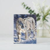 Snow Leopard Studie B - Oliën Feestdagenkaart (Staand voorkant)