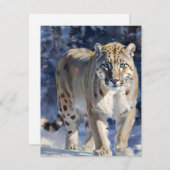 Snow Leopard Studie D - Oliën Feestdagenkaart (Voorkant / Achterkant)