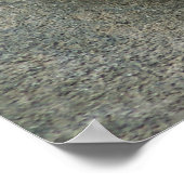 Snow Leopard - Sweet Dreams Poster (Hoek)