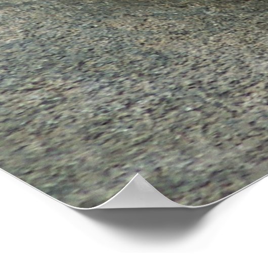 Snow Leopard - Sweet Dreams Poster (Hoek)