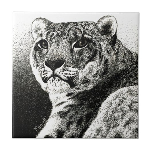 Snow Leopard-Tegel Tegeltje (Voorkant)