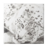 Snow Leopard Tegeltje (Voorkant)