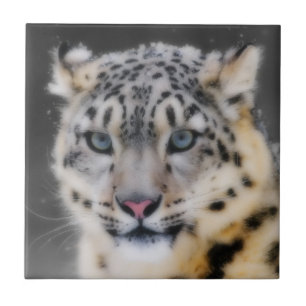 Snow Leopard Tegeltje