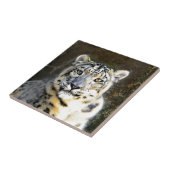 Snow Leopard Tegeltje (Zijkant)