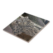 Snow Leopard Tegeltje (Zijkant)