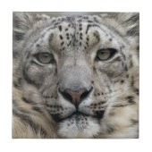Snow Leopard Tile Tegeltje (Voorkant)