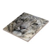 Snow Leopard Tile Tegeltje (Zijkant)
