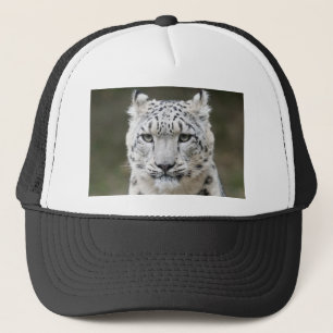 Snow Leopard Trucker Pet