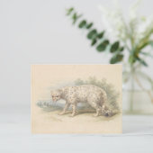 Snow Leopard van Charles Hamilton Smith Briefkaart (Staand voorkant)