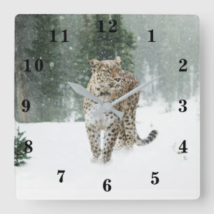 Snow Leopard Vierkante Klok