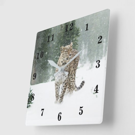 Snow Leopard Vierkante Klok (Hoek)