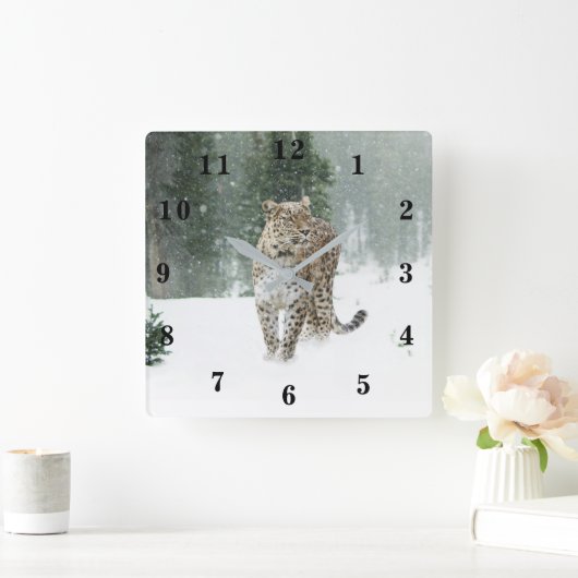 Snow Leopard Vierkante Klok (Huis)