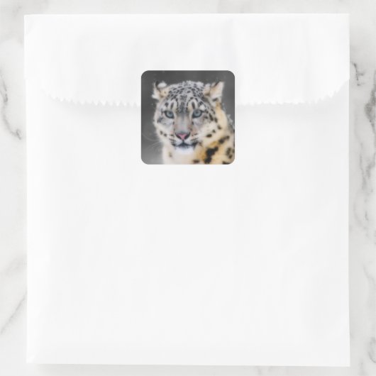Snow Leopard Vierkante Sticker (Tas)