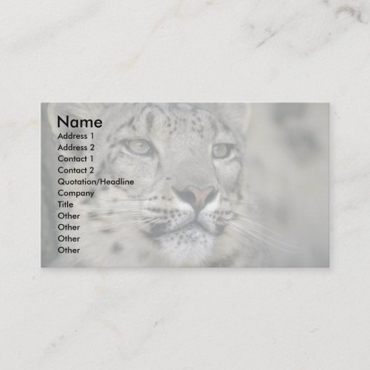 Snow Leopard Visitekaartje (Voorkant)