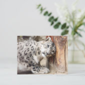 Snow Leopard Wild Cat Briefkaart (Staand voorkant)