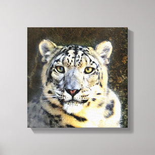Snow Leopard Wrapped Canvas Afdruk