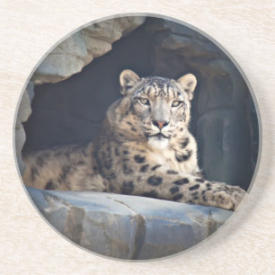 Snow Leopard Zandsteen Onderzetter