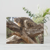 Snow Leopard Zoo Wedding Invitations Kaart (Staand voorkant)