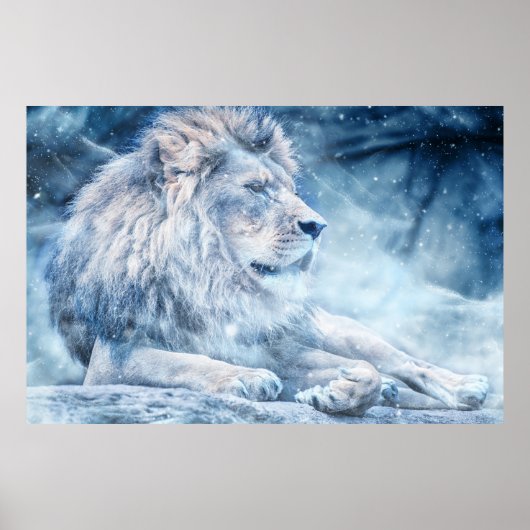 Snow Lion Poster (Voorkant)