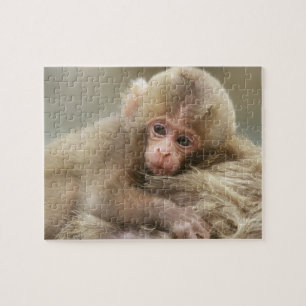 Snow Monkey Baby, Jigokudani, Nagano, Japan 2 Legpuzzel
