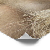 Snow Monkey Baby, Jigokudani, Nagano, Japan 2 Poster (Hoek)